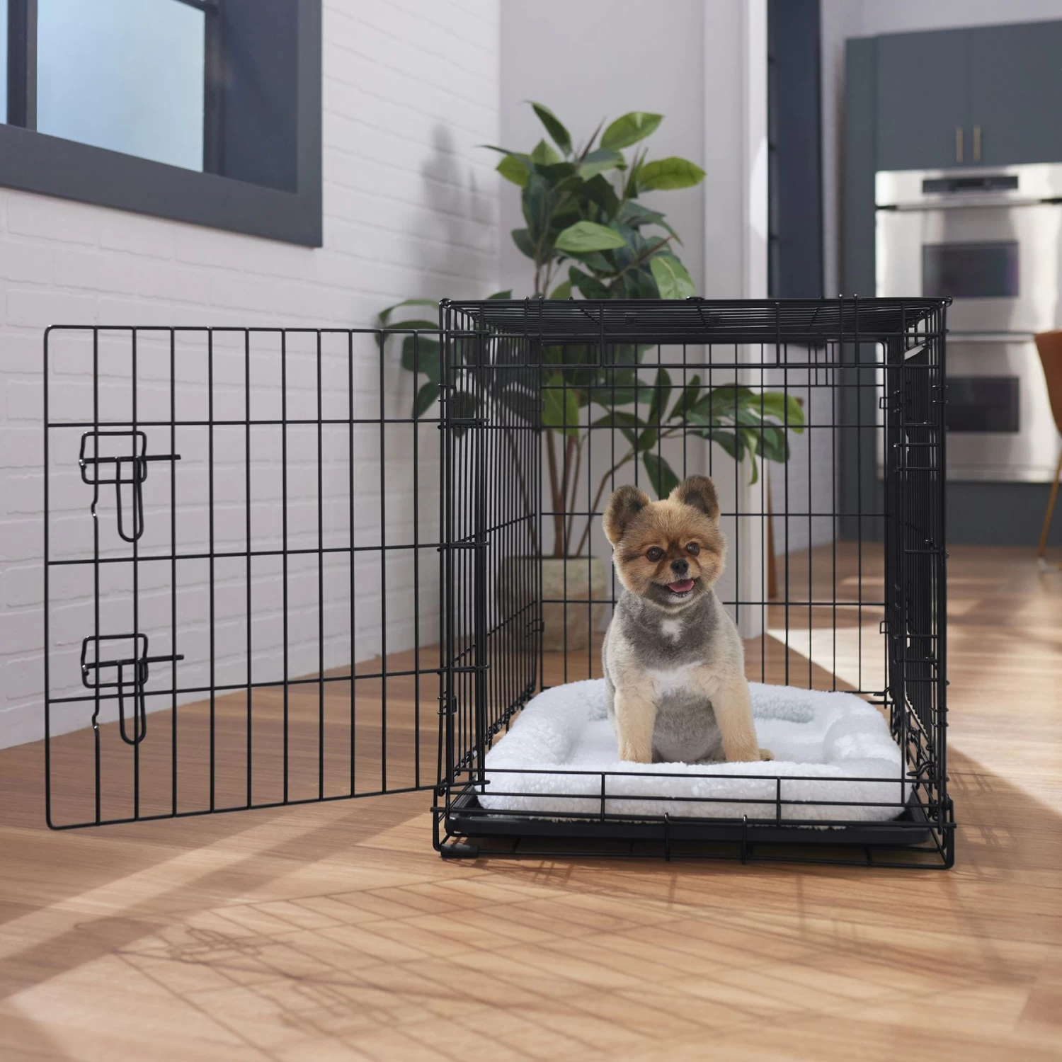 Frisco Heavy Duty Fold & Carry Double Door Collapsible Wire Dog Crate Frisco Heavy Duty Fold & Carry Double Door Collapsible Wire Dog Crate -Pet Supplies Shop 109789 MAIN. AC SS1800 V1668117063