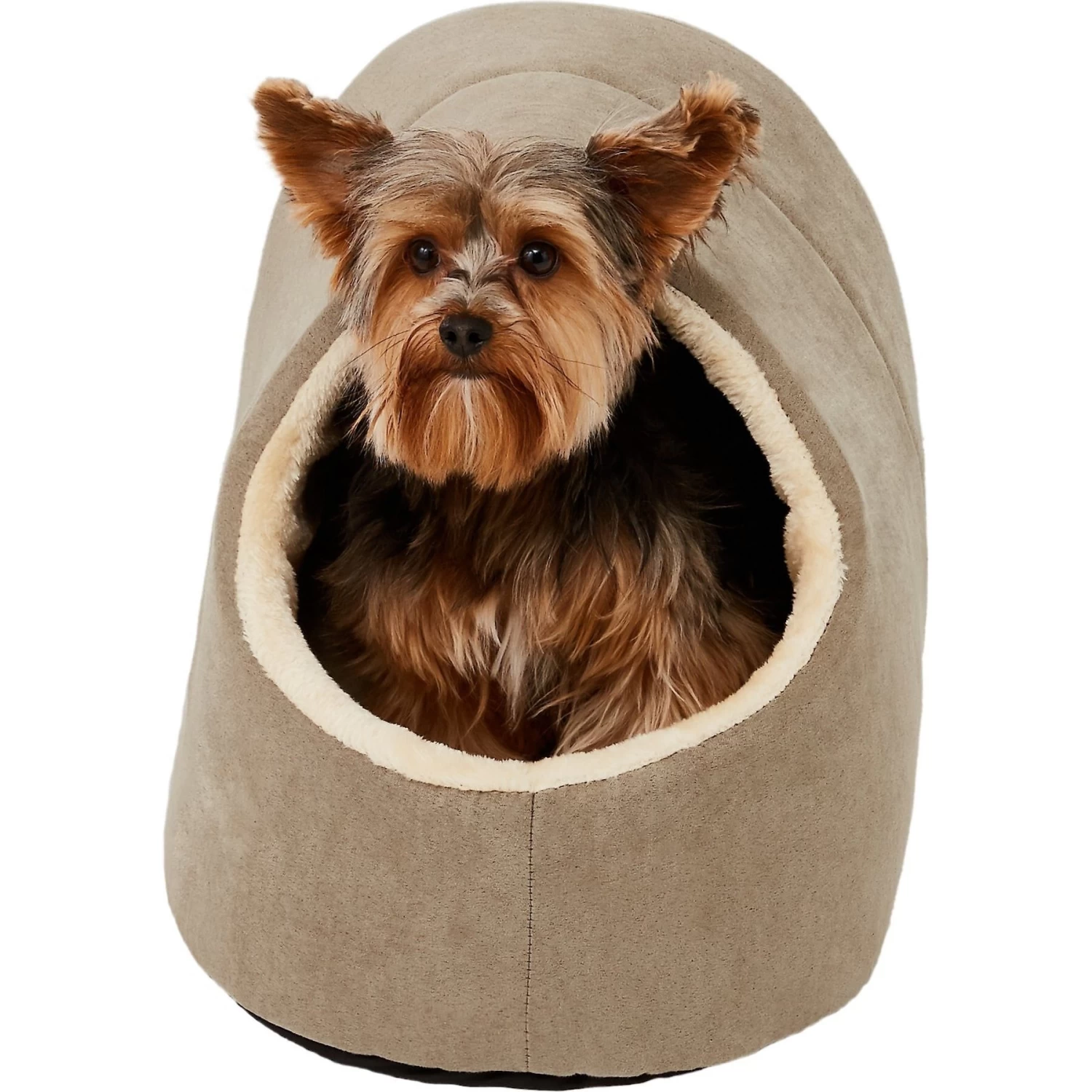 Frisco Cave Covered Cat & Dog Bed Frisco Cave Covered Cat & Dog Bed -Pet Supplies Shop 113300 MAIN. AC SS1800 V1566318456
