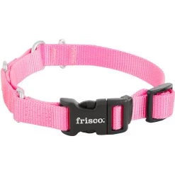 Frisco Solid Nylon Martingale Dog Collar With Buckle -Pet Supplies Shop 139177 PT3. AC SS1800 V1620068872