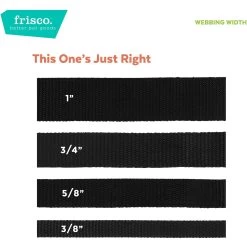 Frisco Solid Nylon Martingale Dog Collar With Buckle -Pet Supplies Shop 139177 PT6. AC SS1800 V1628869305