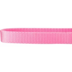 Frisco Solid Nylon Slip-On Martingale Dog Collar -Pet Supplies Shop 139181 PT3. AC SS1800 V1620069443