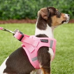 Frisco Small Breed Soft Vest Step In Back Clip Dog Harness -Pet Supplies Shop 139821 PT5. AC SS1800 V1561573781