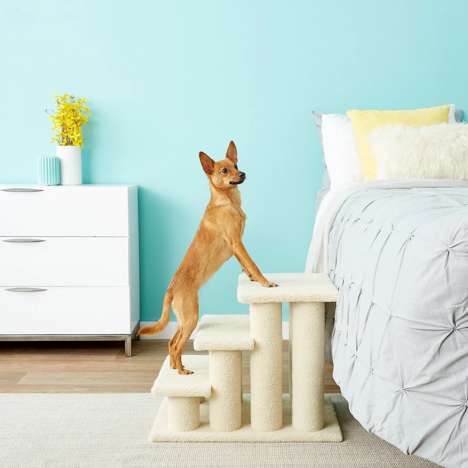 Frisco 18.5 or 24.5 Inch 2-in-1 Cat & Dog Stairs Frisco 18.5 Or 24.5 Inch 2-in-1 Cat & Dog Stairs -Pet Supplies Shop 140154 PT6. AC SS1800 V1584453442