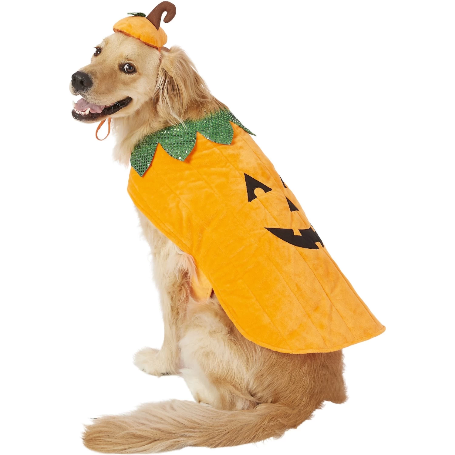 Frisco Pumpkin Dog & Cat Costume Frisco Pumpkin Dog & Cat Costume -Pet Supplies Shop 144446 MAIN. AC SS1800 V1540495184