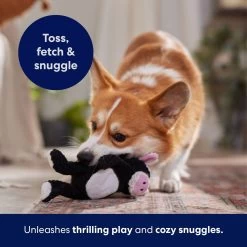 Frisco Cow Textured Plush Squeaky Dog Toy -Pet Supplies Shop 147059 PT5. AC SS1800 V1691776636