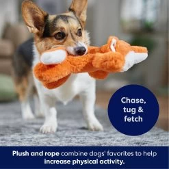 Frisco Fox Plush With Inside Rope Squeaky Dog Toy 4 Frisco Fox Plush With Inside Rope Squeaky Dog Toy -Pet Supplies Shop 147065 PT4. AC SS1800 V1695671059
