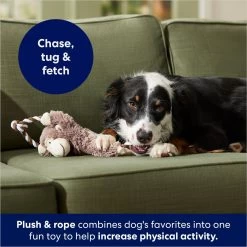 Frisco Monkey Plush With Rope Squeaky Dog Toy -Pet Supplies Shop 147067 PT4. AC SS1800 V1686079871