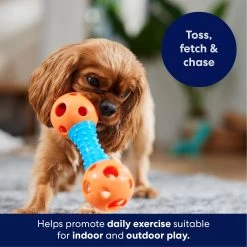 Frisco Dumbbell TPR Fetch Dog Toy -Pet Supplies Shop 147108 PT3. AC SS1800 V1695241969