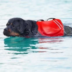 Frisco Neoprene Dog Life Jacket 8 Frisco Neoprene Dog Life Jacket -Pet Supplies Shop 152465 PT8. AC SS1800 V1559154728