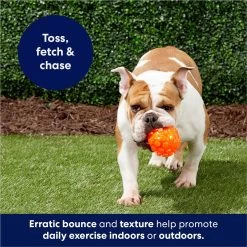 Frisco Fetch Squeaky TPR Ball Dog Toy -Pet Supplies Shop 152801 PT4. AC SS1800 V1686580091