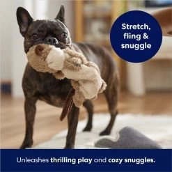 Frisco Beaver Bungee Plush Squeaky Dog Toy -Pet Supplies Shop 152824 PT5. AC SS1800 V1686580146