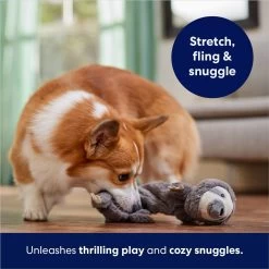 Frisco Sloth Bungee Plush Squeaky Dog Toy -Pet Supplies Shop 152826 PT5. AC SS1800 V1686579214