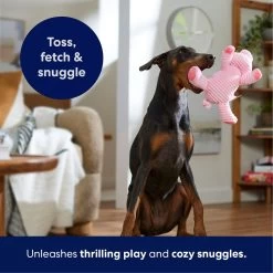 Frisco Corduroy Plush Squeaking Pig Dog Toy -Pet Supplies Shop 152832 PT4. AC SS1800 V1695671001