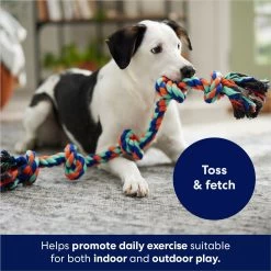 Frisco Rope With 5 Knots Dog Toy -Pet Supplies Shop 152836 PT2. AC SS1800 V1686579626
