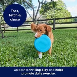 Frisco Fetch Rubber Flyer Dog Toy -Pet Supplies Shop 152848 PT5. AC SS1800 V1692370079