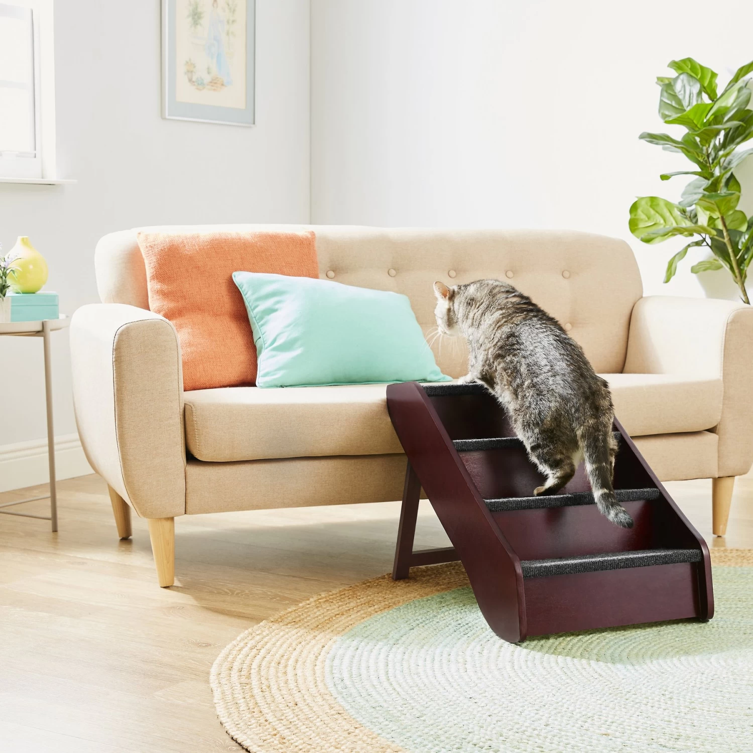 Frisco Deluxe Foldable Wooden Carpeted Cat & Dog Stairs Frisco Deluxe Foldable Wooden Carpeted Cat & Dog Stairs -Pet Supplies Shop 156781 PT1. AC SS1800 V1569621456