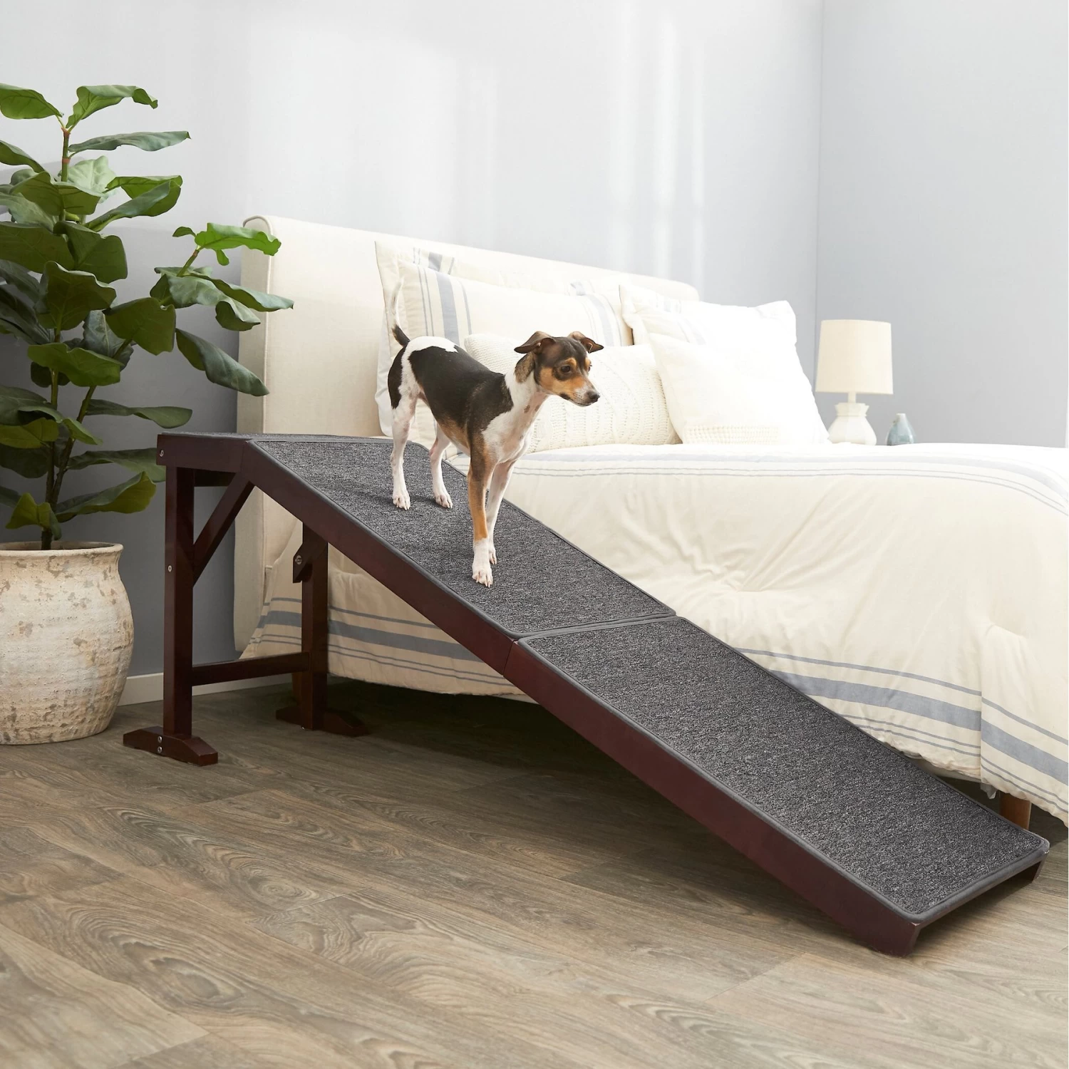 Frisco Deluxe Wooden Carpeted Cat & Dog Ramp Frisco Deluxe Wooden Carpeted Cat & Dog Ramp -Pet Supplies Shop 156784 MAIN. AC SS1800 V1579102096