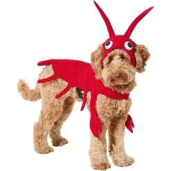Frisco Red Lobster Dog & Cat Costume -Pet Supplies Shop 158723 PT2. AC SS1800 V1659023725