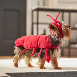 Frisco Red Lobster Dog & Cat Costume -Pet Supplies Shop 158723 PT6. AC SS1800 V1659023888