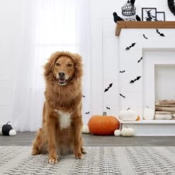 Frisco Lion Mane Dog & Cat Costume -Pet Supplies Shop 158732 PT7. AC SS1800 V1691686202
