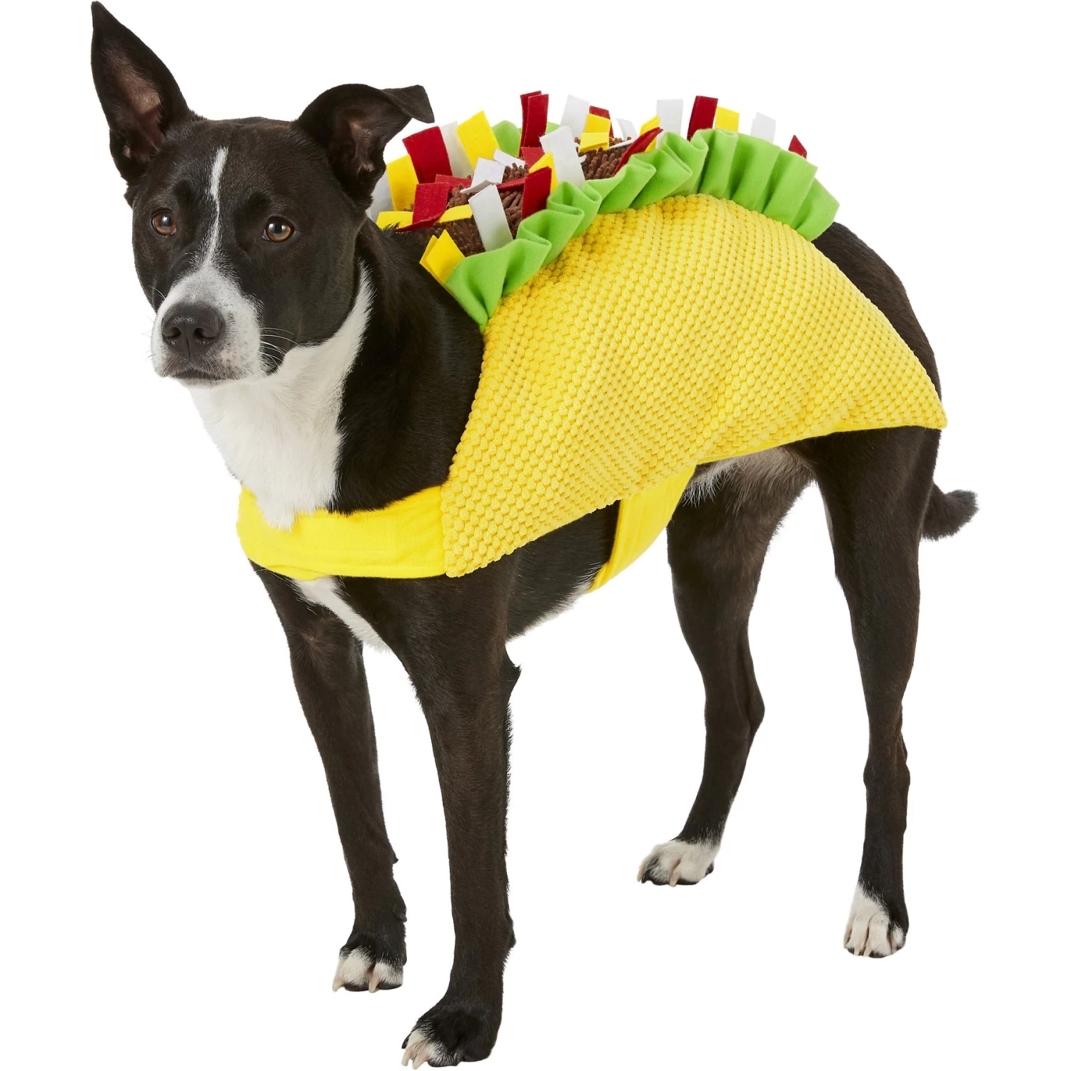Frisco Taco Dog & Cat Costume Frisco Taco Dog & Cat Costume -Pet Supplies Shop 158826 MAIN. AC SS1800 V1564425147