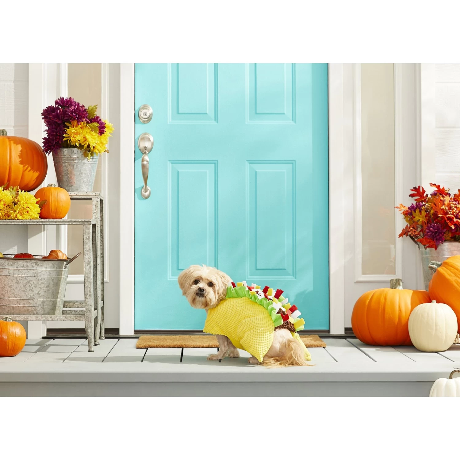 Frisco Taco Dog & Cat Costume Frisco Taco Dog & Cat Costume -Pet Supplies Shop 158826 PT3. AC SS1800 V1567175798