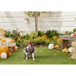 Frisco Front Walking Cowboy Dog & Cat Costume -Pet Supplies Shop 158842 PT3. AC SS1800 V1567176047