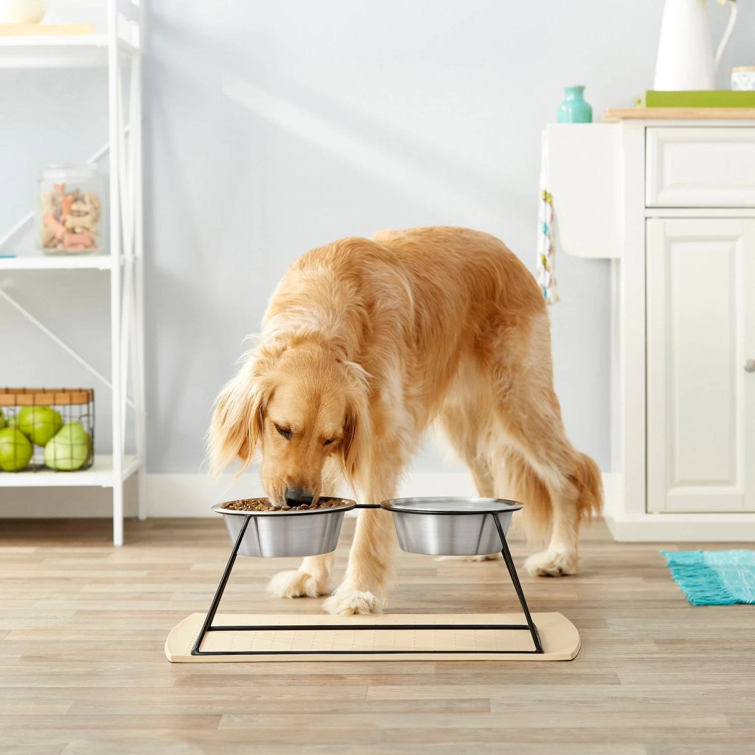 Frisco Pyramid Elevated Stainless Steel Double Diner Dog & Cat Bowl Frisco Pyramid Elevated Stainless Steel Double Diner Dog & Cat Bowl -Pet Supplies Shop 159884 PT3. AC SS1800 V1561123346
