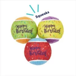 Frisco Birthday Fetch Squeaky Tennis Ball Dog Toy -Pet Supplies Shop 162914 PT2. AC SS1800 V1692020013