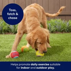 Frisco Birthday Fetch Squeaky Tennis Ball Dog Toy -Pet Supplies Shop 162914 PT5. AC SS1800 V1692020098