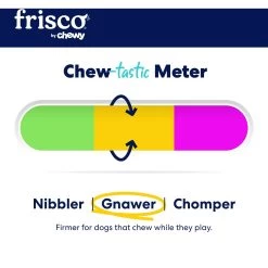 Frisco Chewy Fetch Squeaky Tennis Ball Dog Toy 3 Frisco Chewy Fetch Squeaky Tennis Ball Dog Toy -Pet Supplies Shop 164314 PT3. AC SS1800 V1691783970