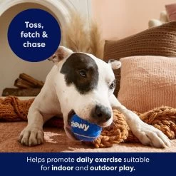 Frisco Chewy Fetch Squeaky Tennis Ball Dog Toy 4 Frisco Chewy Fetch Squeaky Tennis Ball Dog Toy -Pet Supplies Shop 164314 PT5. AC SS1800 V1691783910