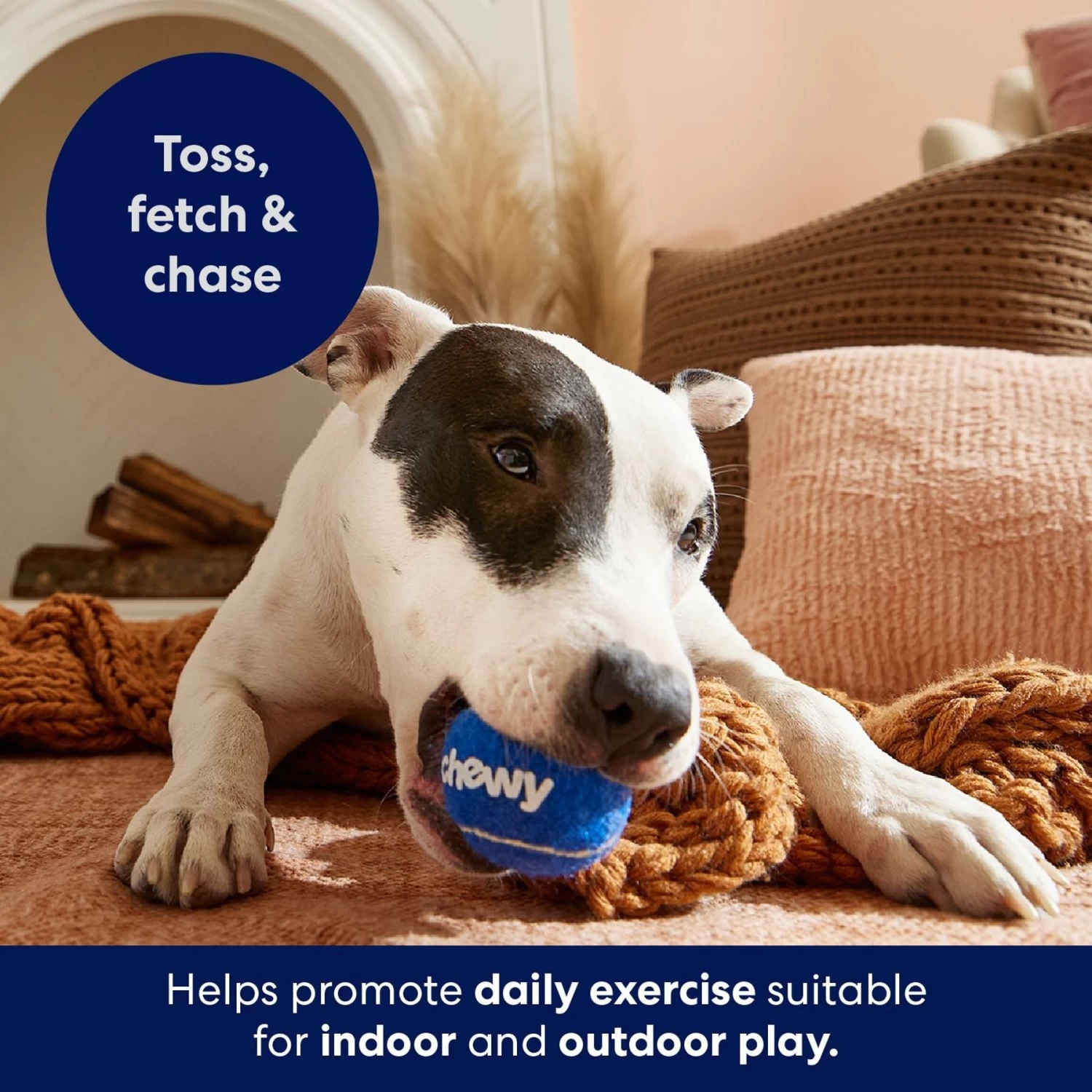 Frisco Chewy Fetch Squeaky Tennis Ball Dog Toy Frisco Chewy Fetch Squeaky Tennis Ball Dog Toy -Pet Supplies Shop 164314 PT5. AC SS1800 V1691783910