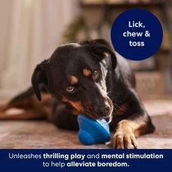 Frisco Flying Saucer Rubber Treat Dispenser Dog Toy -Pet Supplies Shop 164757 PT5. AC SS1800 V1691784247