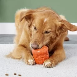 Frisco Halloween Pumpkin Rubber Treat Dispenser Dog Toy, Medium/Large 5 Frisco Halloween Pumpkin Rubber Treat Dispenser Dog Toy, Medium/Large -Pet Supplies Shop 164763 PT5. AC SS1800 V1689876672