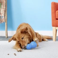 Frisco Snowman Rubber Treat Dispenser Dog Toy -Pet Supplies Shop 164769 PT4. AC SS1800 V1563808954