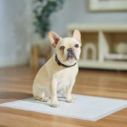 Frisco Dog Training Pads 4 Frisco Dog Training Pads -Pet Supplies Shop 173778 PT5. AC SS1800 V1674674461