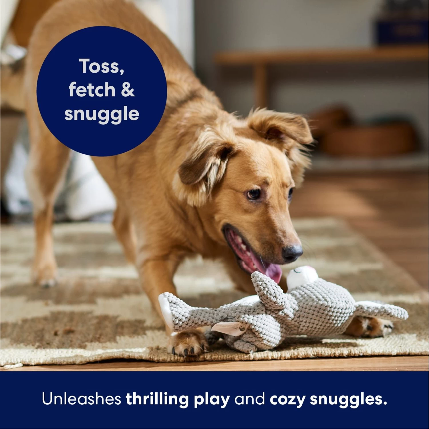 Frisco Bunny Textured Plush Squeaky Dog Toy Frisco Bunny Textured Plush Squeaky Dog Toy -Pet Supplies Shop 174693 PT4. AC SS1800 V1695671088