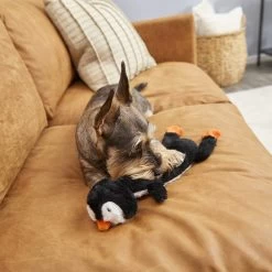 Frisco Penguin Skinny Plush Squeaky Dog Toy -Pet Supplies Shop 174707 PT2. AC SS1800 V1573492672