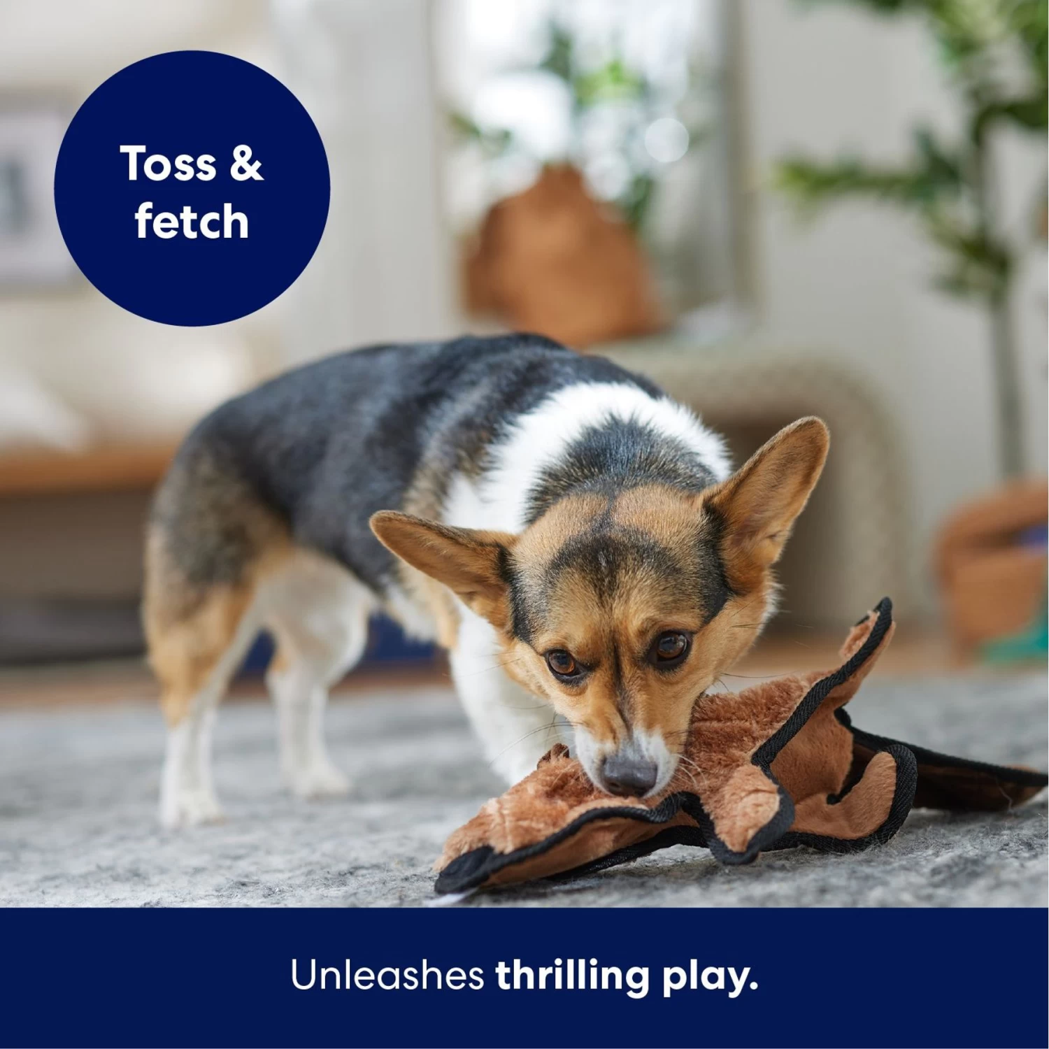 Frisco Beaver Stuffing-Free Flat Plush Squeaky Dog Toy Frisco Beaver Stuffing-Free Flat Plush Squeaky Dog Toy -Pet Supplies Shop 174729 PT4. AC SS1800 V1695671063