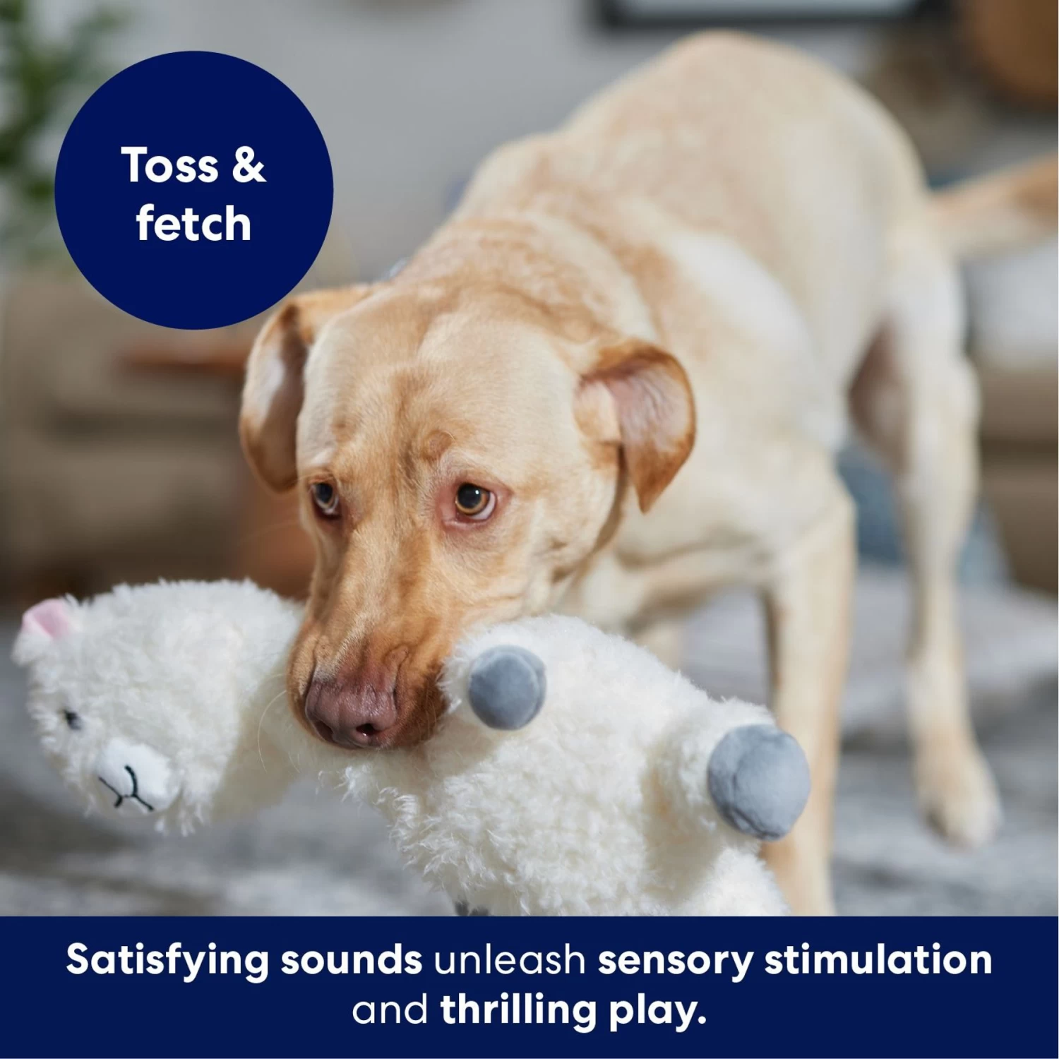 Frisco Llama Bobberz Plush Squeaky Dog Toy Frisco Llama Bobberz Plush Squeaky Dog Toy -Pet Supplies Shop 174741 PT4. AC SS1800 V1695671063