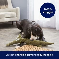 Frisco Triceratops Wagazoo Plush Squeaky Dog Toy -Pet Supplies Shop 174747 PT4. AC SS1800 V1695748419