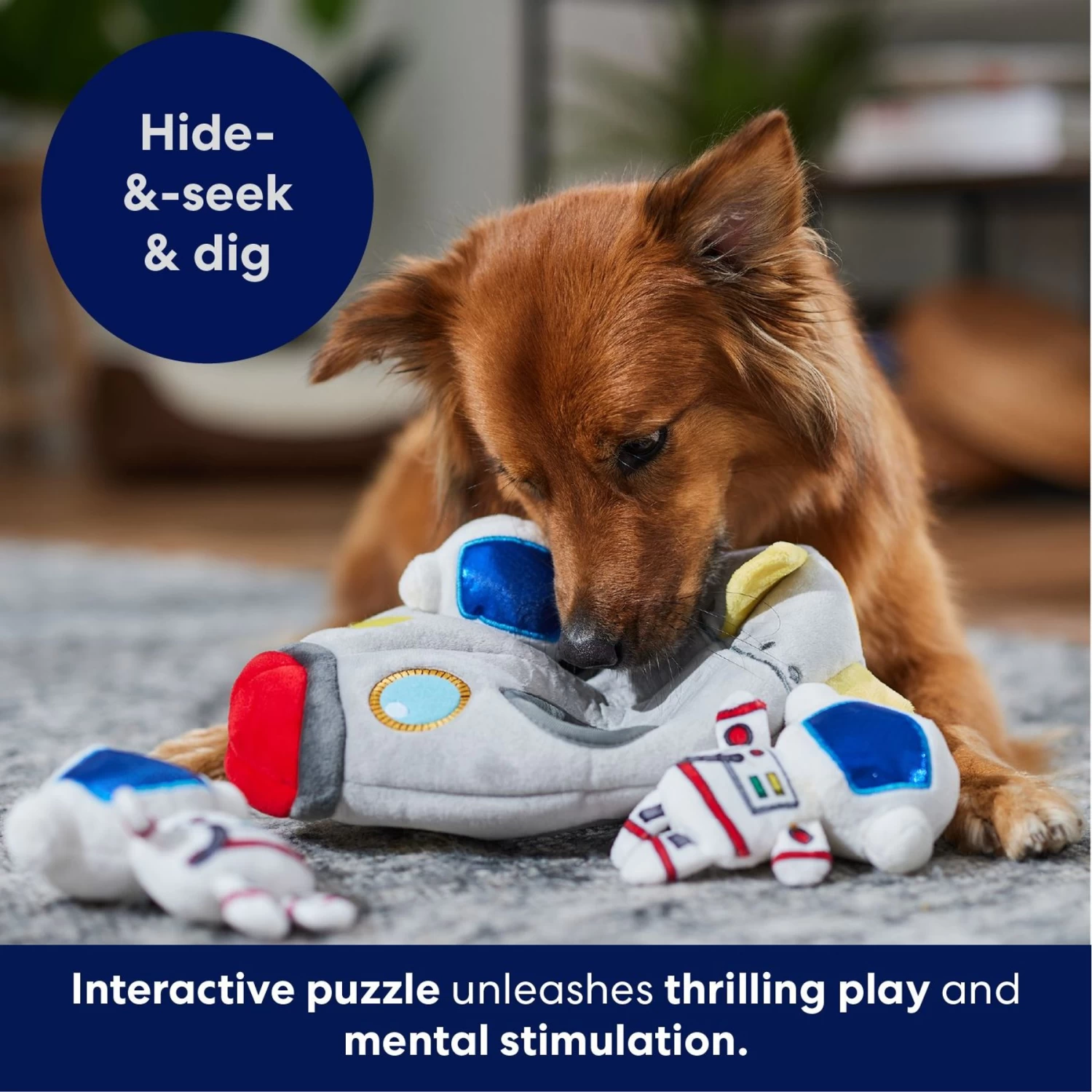 Frisco Rocket Ship Hide & Seek Puzzle Plush Squeaky Dog Toy Frisco Rocket Ship Hide & Seek Puzzle Plush Squeaky Dog Toy -Pet Supplies Shop 174753 PT4. AC SS1800 V1695670750