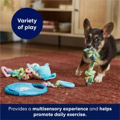 Frisco Little Friends Plush, Flyer & TPR Variety Pack Dog Toy -Pet Supplies Shop 177816 PT5. AC SS1800 V1691783909