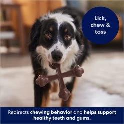 Frisco Bacon Flavor Tough Nylon Dog Chew Toy -Pet Supplies Shop 213430 PT5. AC SS1800 V1691783968