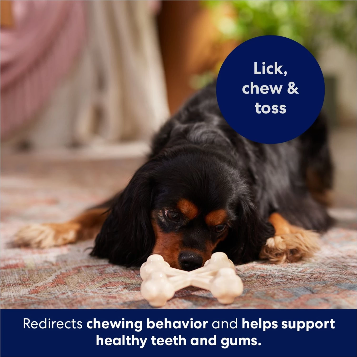 Frisco Chicken Flavor Tough Nylon Dog Chew Toy Frisco Chicken Flavor Tough Nylon Dog Chew Toy -Pet Supplies Shop 213432 PT5. AC SS1800 V1691784031