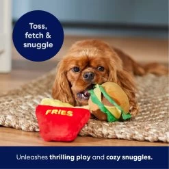 Frisco Burger & Fries Plush Squeaky Dog Toy -Pet Supplies Shop 213822 PT3. AC SS1800 V1695241915