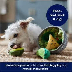 Frisco Guacamole Hide & Seek Puzzle Plush Squeaky Dog Toy -Pet Supplies Shop 213830 PT5. AC SS1800 V1695748356