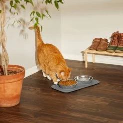 Frisco Heavy Duty Non-Skid Silicone Diner 6 Frisco Heavy Duty Non-Skid Silicone Diner -Pet Supplies Shop 215979 PT7. AC SS1800 V1599090986