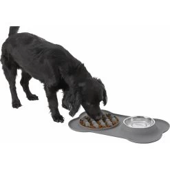 Frisco Silicone Slow Feeder Mat With Stainless Steel Bowl -Pet Supplies Shop 215983 PT5. AC SS1800 V1605666752